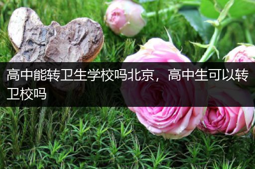高中能转卫生学校吗北京，高中生可以转卫校吗