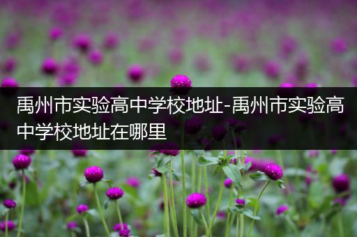 禹州市实验高中学校地址-禹州市实验高中学校地址在哪里