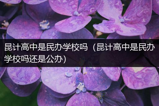 昆计高中是民办学校吗（昆计高中是民办学校吗还是公办）