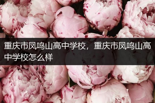 重庆市凤鸣山高中学校，重庆市凤鸣山高中学校怎么样