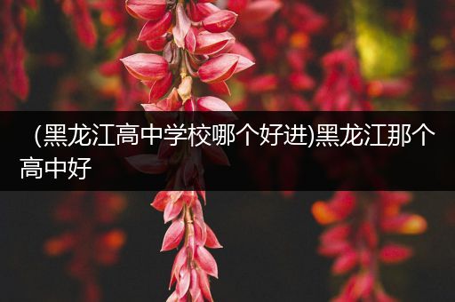 （黑龙江高中学校哪个好进)黑龙江那个高中好