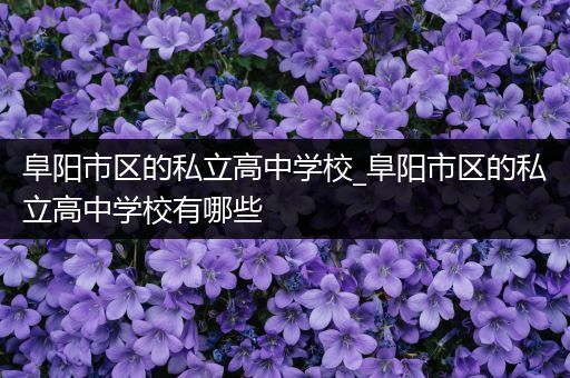 阜阳市区的私立高中学校_阜阳市区的私立高中学校有哪些
