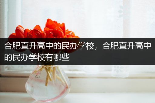合肥直升高中的民办学校，合肥直升高中的民办学校有哪些