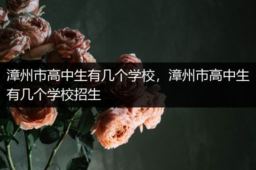 漳州市高中生有几个学校，漳州市高中生有几个学校招生