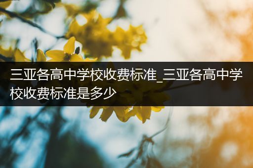 三亚各高中学校收费标准_三亚各高中学校收费标准是多少