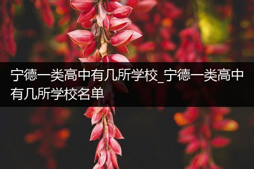 宁德一类高中有几所学校_宁德一类高中有几所学校名单