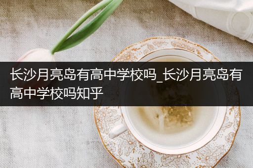 长沙月亮岛有高中学校吗_长沙月亮岛有高中学校吗知乎