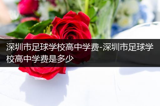 深圳市足球学校高中学费-深圳市足球学校高中学费是多少