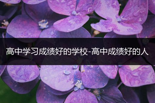 高中学习成绩好的学校-高中成绩好的人