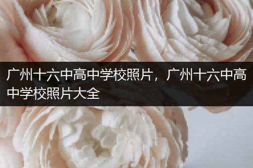 广州十六中高中学校照片，广州十六中高中学校照片大全