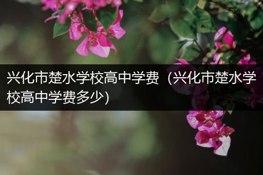 兴化市楚水学校高中学费（兴化市楚水学校高中学费多少）