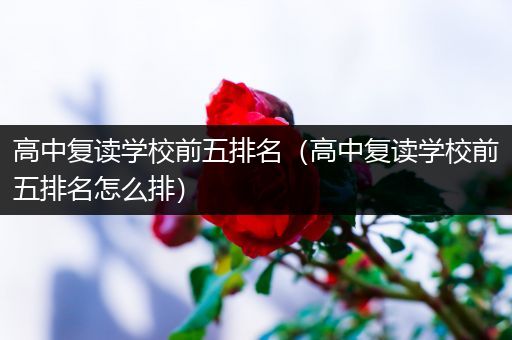 高中复读学校前五排名（高中复读学校前五排名怎么排）
