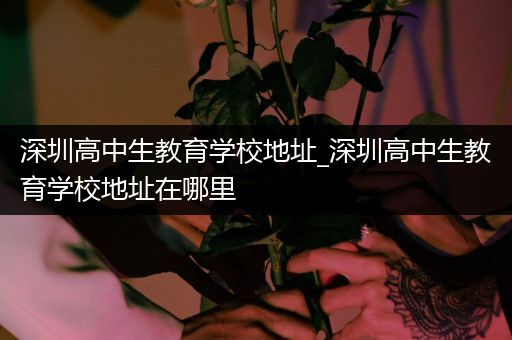 深圳高中生教育学校地址_深圳高中生教育学校地址在哪里