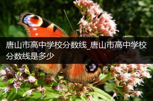 唐山市高中学校分数线_唐山市高中学校分数线是多少