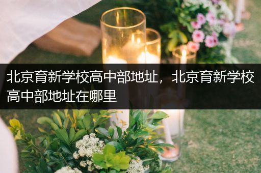 北京育新学校高中部地址，北京育新学校高中部地址在哪里
