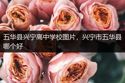 五华县兴宁高中学校图片，兴宁市五华县哪个好