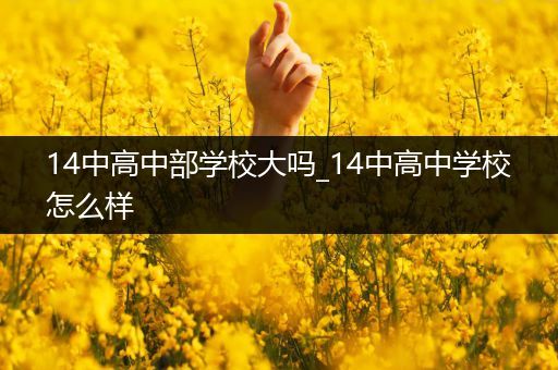 14中高中部学校大吗_14中高中学校怎么样