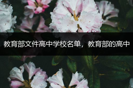 教育部文件高中学校名单，教育部的高中
