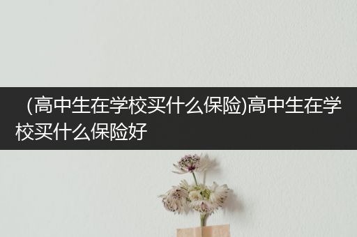 （高中生在学校买什么保险)高中生在学校买什么保险好