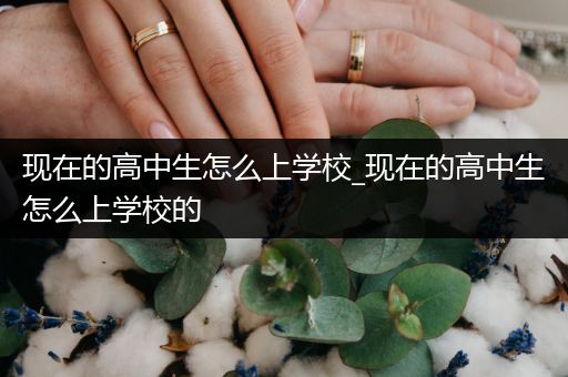 现在的高中生怎么上学校_现在的高中生怎么上学校的
