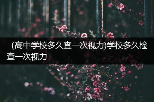 （高中学校多久查一次视力)学校多久检查一次视力