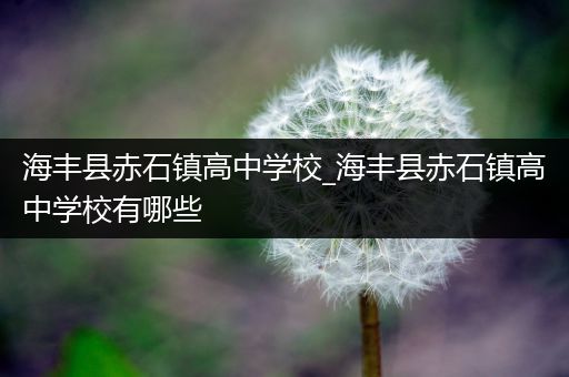 海丰县赤石镇高中学校_海丰县赤石镇高中学校有哪些