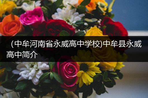 （中牟河南省永威高中学校)中牟县永威高中简介