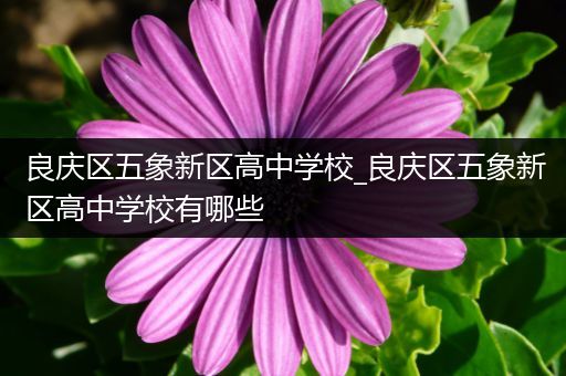 良庆区五象新区高中学校_良庆区五象新区高中学校有哪些