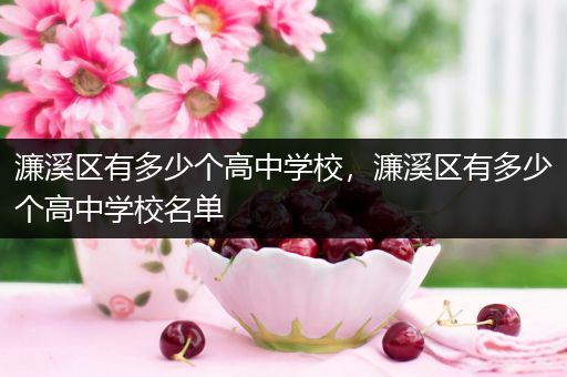 濂溪区有多少个高中学校，濂溪区有多少个高中学校名单