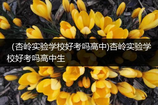 （杏岭实验学校好考吗高中)杏岭实验学校好考吗高中生