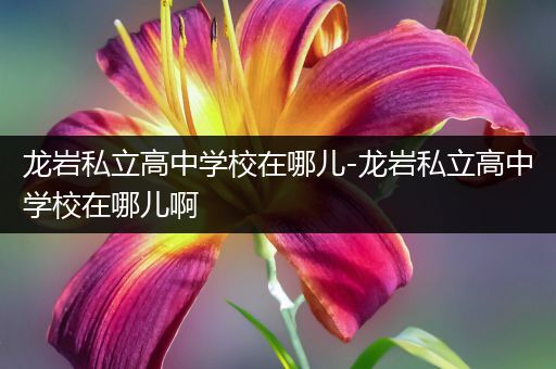龙岩私立高中学校在哪儿-龙岩私立高中学校在哪儿啊