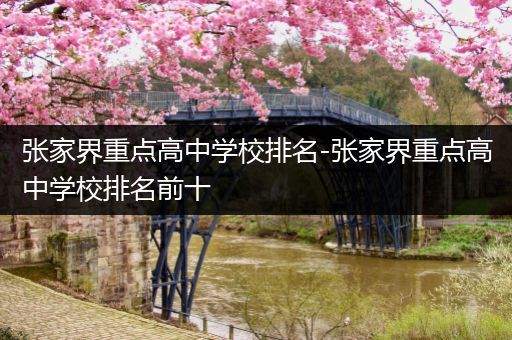 张家界重点高中学校排名-张家界重点高中学校排名前十