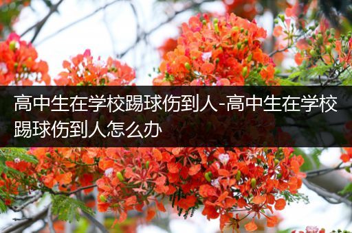 高中生在学校踢球伤到人-高中生在学校踢球伤到人怎么办