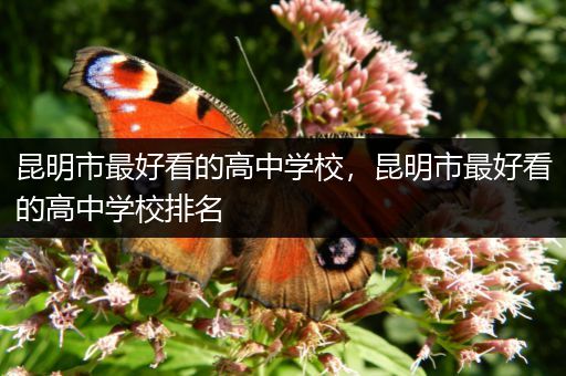 昆明市最好看的高中学校，昆明市最好看的高中学校排名