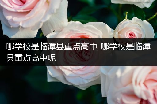 哪学校是临漳县重点高中_哪学校是临漳县重点高中呢