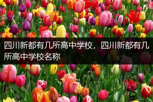 四川新都有几所高中学校，四川新都有几所高中学校名称