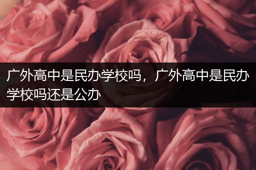 广外高中是民办学校吗，广外高中是民办学校吗还是公办