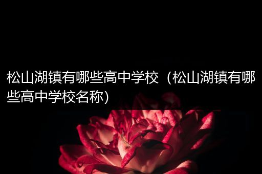 松山湖镇有哪些高中学校（松山湖镇有哪些高中学校名称）