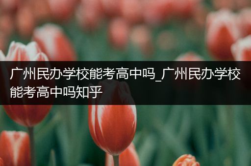 广州民办学校能考高中吗_广州民办学校能考高中吗知乎