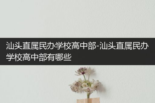 汕头直属民办学校高中部-汕头直属民办学校高中部有哪些