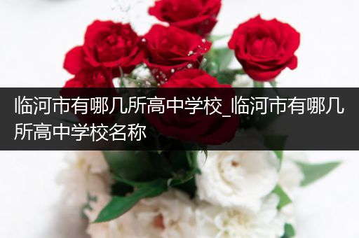 临河市有哪几所高中学校_临河市有哪几所高中学校名称