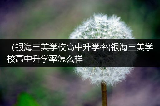 （银海三美学校高中升学率)银海三美学校高中升学率怎么样