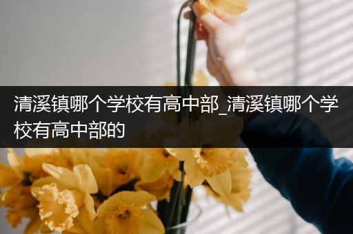 清溪镇哪个学校有高中部_清溪镇哪个学校有高中部的