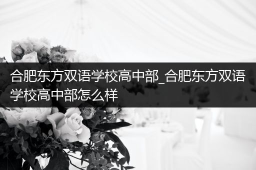 合肥东方双语学校高中部_合肥东方双语学校高中部怎么样
