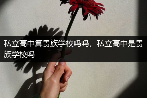 私立高中算贵族学校吗吗，私立高中是贵族学校吗