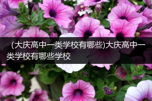 （大庆高中一类学校有哪些)大庆高中一类学校有哪些学校