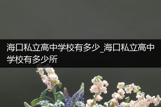 海口私立高中学校有多少_海口私立高中学校有多少所