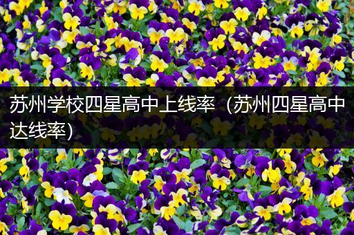 苏州学校四星高中上线率（苏州四星高中达线率）