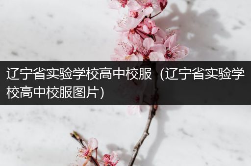 辽宁省实验学校高中校服（辽宁省实验学校高中校服图片）
