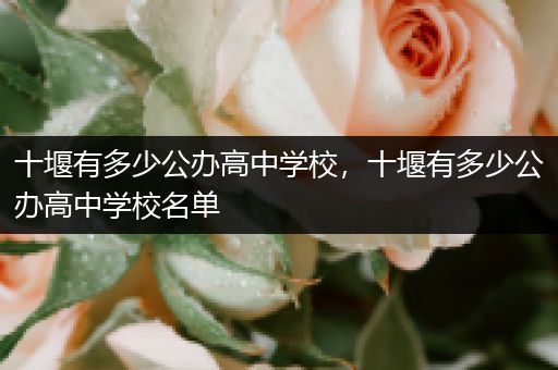 十堰有多少公办高中学校，十堰有多少公办高中学校名单